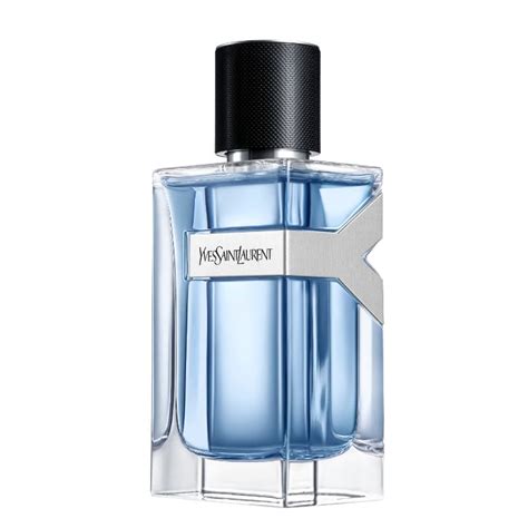 ysl eau de toilette notes|y by ysl for men.